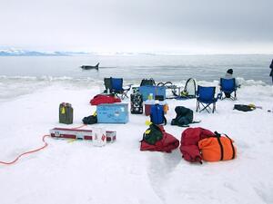 Research location