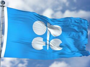 OPEC’s second-biggest producer said supply curbs by the cartel haven’t yet achieved their purpose. (Shutterstock)