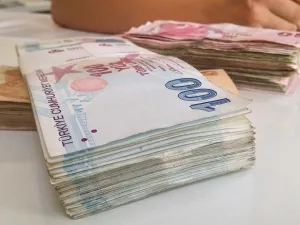 The total tender amounted to around 3.8 billion Turkish liras (nearly $734.9 million), with a 51.4 percent accepted/tendered rate.(Shutterstock)