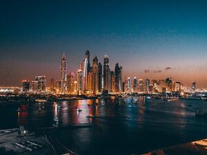 The new licenses need to obtain a 'No Objection Certificate' for the first year. (Shutterstock)