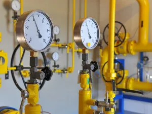 Using gas in the industrial sector lowers operational costs between 20 and 50 per cent. (Shutterstock)