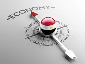 So far $8 billion has reached Egyptian coffers. (Shutterstock)