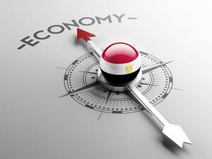 So far $8 billion has reached Egyptian coffers. (Shutterstock)