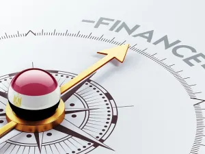 The law, passed by parliament approved a EGP 5 billion start-up capital for the fund called ‘Egypt Fund’ with EGP 1 billion pounds to be transferred immediately from the treasury. (Shutterstock)