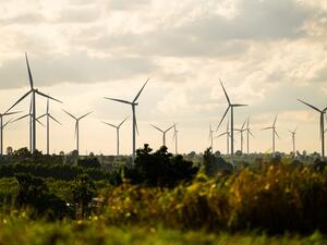 This year’s outlook is the first to highlight the huge impact that falling battery costs will have on the electricity mix over the coming decades. (Shutterstock)