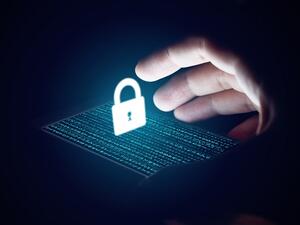 Microsoft, Google, Facebook and Twitter have set aside their differences and joined forces to create the Data Transfer Project. (Shutterstock)