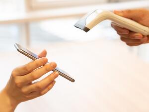 The minister announced future plans to turn the New Administrative Capital into the first cashless city. (Shutterstock)