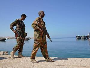 Somalian forces and international partners conducted the two different operations (AFP/File)