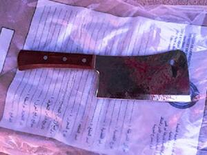 جريمة حي الشفا 