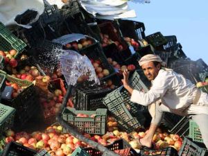 الغارات أسفرت عن سقوط عشرات القتلى والجرحى من عناصر المليشيا الحوثية