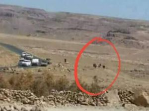 صورة للكمين الذي تعرض له صالح قبل قتله وتفاصيل جديدة عن نهايته
