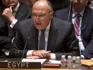 مصر تستبعد طرح أزمة قطر بمجلس الأمن خلال رئاستها الدورية
