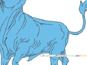 الثور.. كائن قدره القدماء