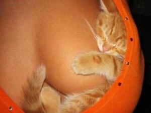 البس دفيان ع الاخر