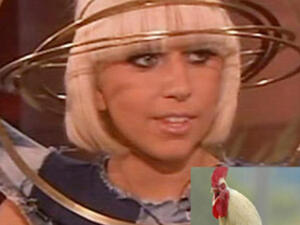 الديك وجاجا