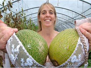 روي وستيانتها