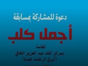 مزاين كلاب في جدة