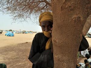 An elderly refugee from northern Mali stands under the shade of a tree at the Mangaize refugee camp on June 2, 2012. (Issouf Sanogo/ AFP)