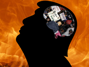 Trump's brain, Al Bawaba