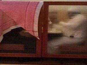 زوج يغطي زوجته بشماغه بمطعم