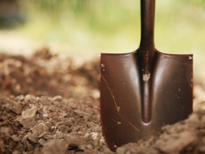 Well, well, well what have we dug here? (Shutterstock)