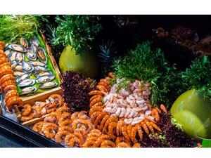 "البرانش التركي"