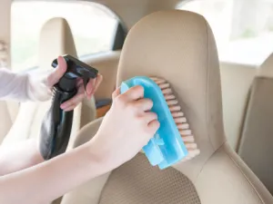 غطسوا فرشاة في هذا السائل وافركوا كل السطوح بالقماش (shutterstock.com)
