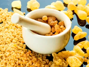 اللبان الذكر أو ما يعرف بالكندر هو عبارة عن صمغ يتمّ إنتاجه من بعض الأشجار (shutterstock.com)
