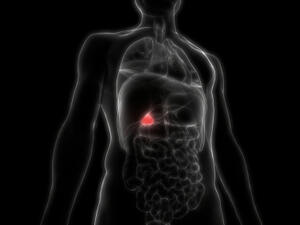 يعتبر التهاب المرارة من أبرز المشاكل الصحية التى نواجهها (shutterstock.com)
