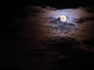 لم تلحظ الدراسة أي تأثيرات تثير القلق لأثر اكتمال القمر (shutterstock.com)
