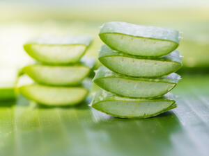 تعمل خلاصة الصبار على تجديد خلايا البشرة لتبدو أكثر نضارة (shutterstock.com)
