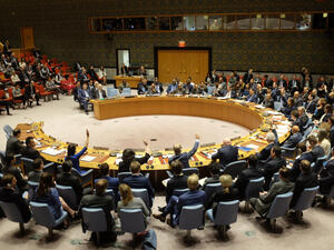 The UN Security Council (Shutterstock)