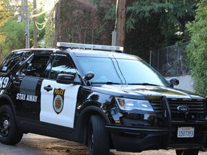 (Shutterstock/ File Photo)