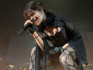 Camila Cabello one of Taylor Swift's opening acts (Source: Westwoodst / Shutterstock)