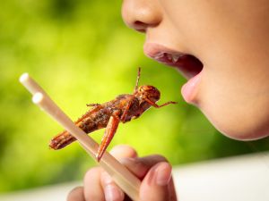 (Shutterstock/File Photo)