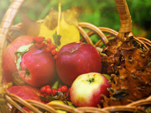 يجب الحرص على إدراج هذه الأنواع التي ذكرناها إلى وجباتنا بصفة يومية (shutterstock.com)
