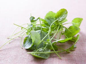 أوراق "الجرجير" يخفف من خطر الإصابة بمرض السكري