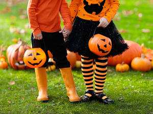 (Shutterstock/ File Photo)