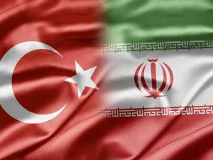 The top Iranian diplomat said Tehran would cooperate with Ankara to put off wildfire in the Iraqi part of Hour al-Azim wetland. (Shutterstock)