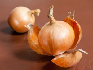 تتفوق قشور البصل على ثمارها من حيث خصائصها المضادة للأكسدة (shutterstock.com)
