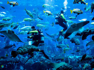 (Shutterstock/File Photo)