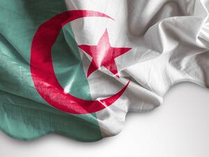 Algeria flag (Shutterstock/File Photo)