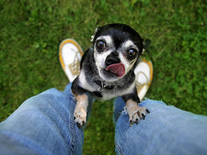 (Shutterstock/ File Photo)