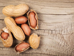 يحتوي الفول السوداني على الدهون الأحادية غير المشبعة والريسفيراترول