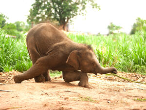 (Shutterstock/ File Photo)