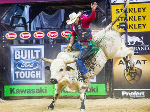 (Shutterstock/ File Photo)