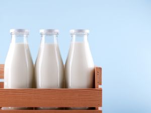 The mayor blamed poor childhood nutrition on rising numbers of LGBT people in Indonesia. (Shutterstock)