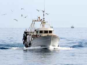 (Shutterstock / File)