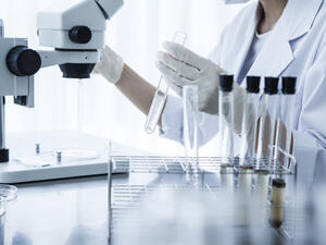 (Shutterstock/File Photo)