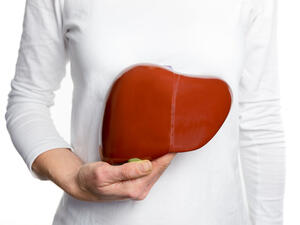 يعد الكبد من أكبر الأعضاء حجماً في جسم الإنسان